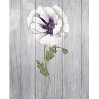 Poppy II -Paper Art-24"x30"