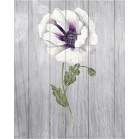 Poppy II -Paper Art-30"x37"
