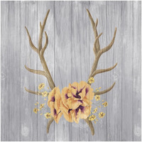 Antlers and Poppies I Sq Spice -Paper Art-20"x20"