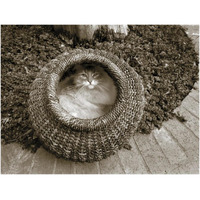 Cat in a Basket -Paper Art-34"x26"