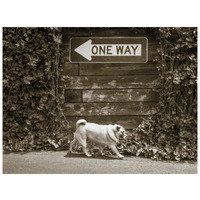 Which Way -Paper Art-26"x20"
