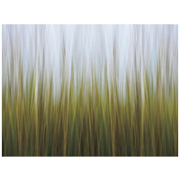 Sea Grass Canvas -Paper Art-42"x32"