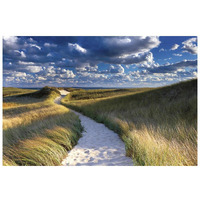 Philbin Beach Path -Paper Art-26"x18"