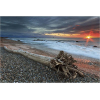 Sakonnet Driftwood -Paper Art-38"x26"