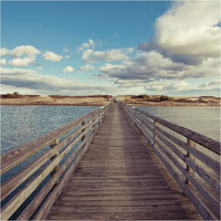 Bridge to the Beach -Paper Art-38"x38"