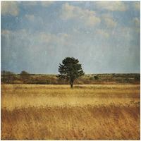 The Lonely Tree -Paper Art-32"x32"