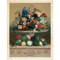 Flowers and Vegetable Seeds, 1871-1900 -Paper Art-25.438"x32"