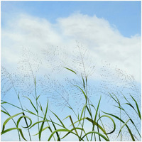 XOXO From Maui -Paper Art-26"x26"