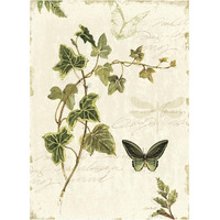 Ivies and Ferns IV -Paper Art-14"x18"