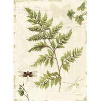 Ivies and Ferns I -Paper Art-14"x18"