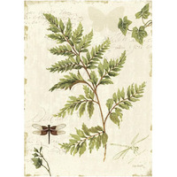 Ivies and Ferns I -Paper Art-26"x34"