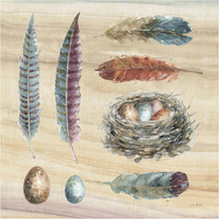 Spiced Nature IX -Paper Art-38"x38"