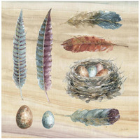 Spiced Nature IX -Paper Art-42"x42"