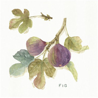 Orchard Bloom III -Paper Art-32"x32"