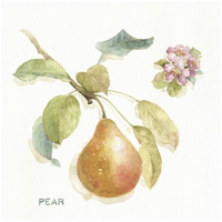 Orchard Bloom II -Paper Art-26"x26"