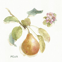 Orchard Bloom II -Paper Art-38"x38"