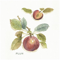Orchard Bloom IV -Paper Art-26"x26"