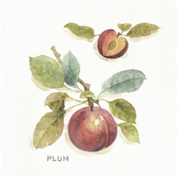 Orchard Bloom IV -Paper Art-32"x32"
