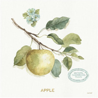 My Greenhouse Fruit IV -Paper Art-26"x26"
