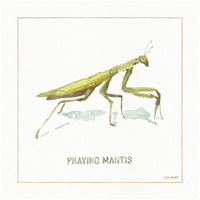My Greenhouse Praying Mantis -Paper Art-32"x32"