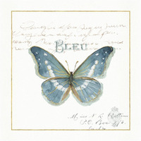 Rainbow Seeds Butterflies V -Paper Art-26"x26"