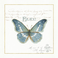 Rainbow Seeds Butterflies V -Paper Art-38"x38"