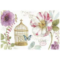 Rainbow Seeds Floral Birdcage I -Paper Art-26"x18"