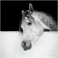 Lonesome Gray -Paper Art-20"x20"