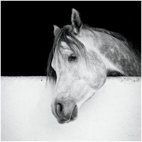 Lonesome Gray -Paper Art-26"x26"