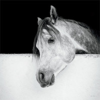 Lonesome Gray -Paper Art-38"x38"