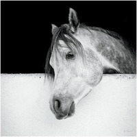 Lonesome Gray -Paper Art-42"x42"