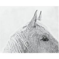 Snow Daze I Crop -Paper Art-26"x22"