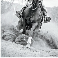 Reining In -Paper Art-20"x20"