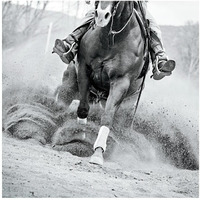 Reining In -Paper Art-42"x42"