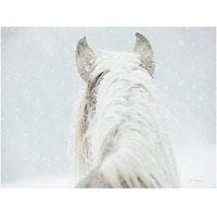 Winter Dreaming -Paper Art-34"x26"