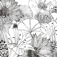 Contemporary Garden I Black and White -Paper Art-38"x38"