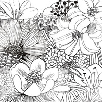 Contemporary Garden II Black and White -Paper Art-38"x38"