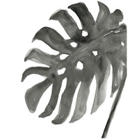 Tropical Palm IV Crop BW -Paper Art-22"x26"