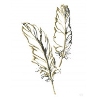 Gilded Barn Owl Feather -Paper Art-32"x42"