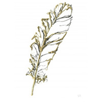 Gilded Turkey Feather I -Paper Art-14"x18"