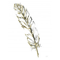 Gilded Turkey Feather II -Paper Art-14"x18"