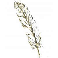 Gilded Turkey Feather II -Paper Art-26"x34"