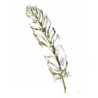 Gilded Turkey Feather II -Paper Art-38"x50"