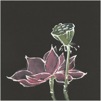 Lotus on Black III -Paper Art-42"x42"