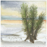 Desert Yucca Cool -Paper Art-20"x20"
