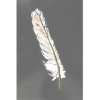 Gold Feathers II on Grey -Paper Art-26"x38"
