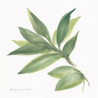 Laurel Bay -Paper Art-32"x32"