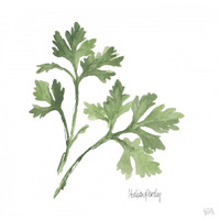 Italian Parsley v2 -Paper Art-32"x32"