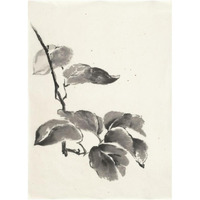 Sumi Kiwi Cream -Paper Art-38"x50"