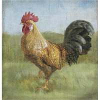 Noble Rooster II Vintage No Border -Paper Art-38"x38"